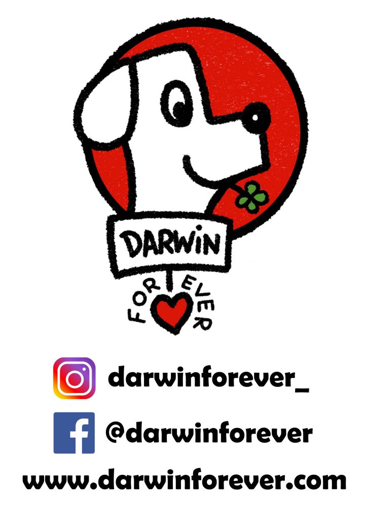 Logo de l'association "Darwinforever"