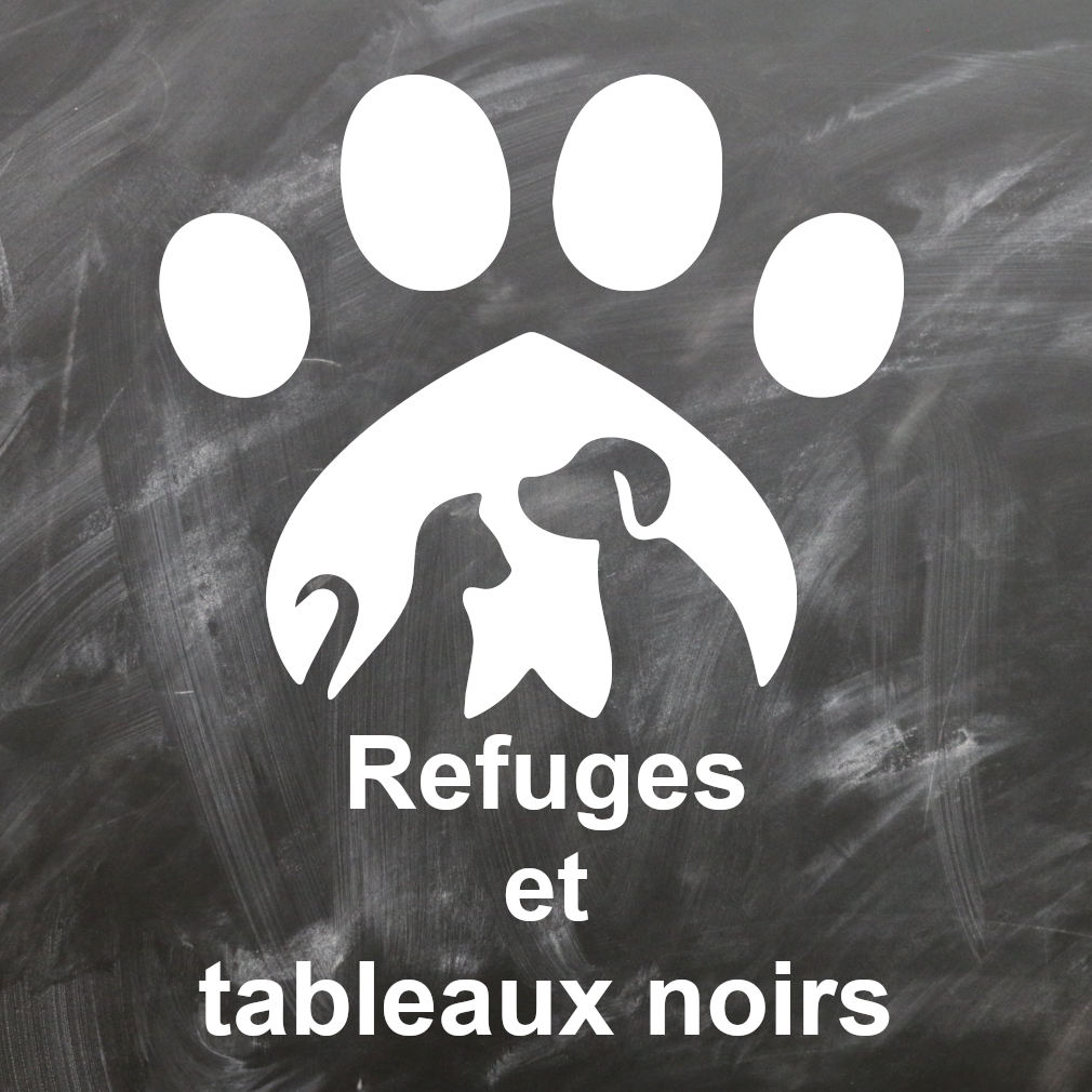 Dispositif national belge intitulé "Refuges et tableaux noirs" (lien vers leur site)