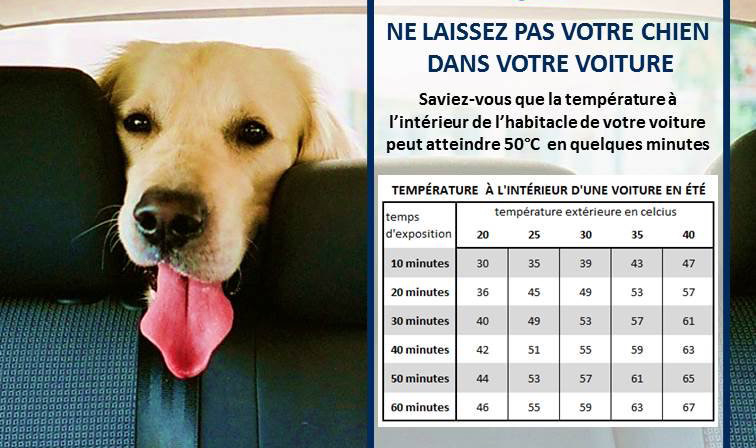 Tableau de la température dans une voiture en été avec durée d'exposition et température extérieure, par exemple 20 degrés à l'extérieur c'est 30 degrés dans le véhicule en moins de 10 minutes et c'est 40 degrés au bout d'une demi-heure