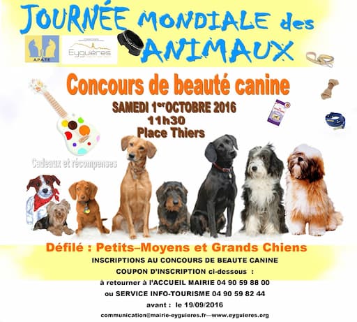 Concours beaute canine 2016