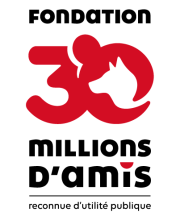 Soutien à l'APATE par la fondation 30 millions d'amis pour des soins et de la nourriture