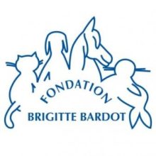 Fondation Brigitte Bardot offre à APATE une aide alimentaire exceptionnelle à Noël